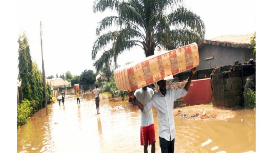 Floods Ravage Zaria, Forcing Hundreds of Children From Homes and Damaging 270 Houses