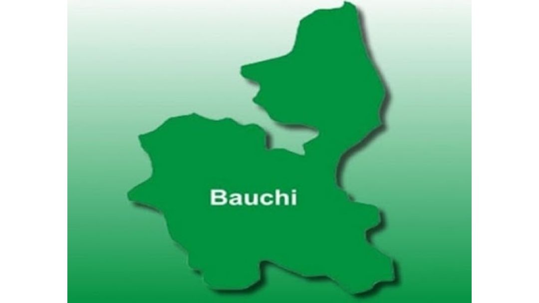 Featured image: Bauchi records 58 Cholera deaths, 528 new cases across 14 LGAs