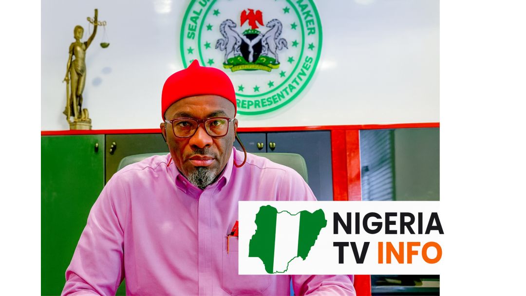 Karuwa na Majalisar Wakilai, Benjamin Kalu, Ya Roki Tinubu Ya Dakatar da Rushe Gidajen ‘Yan Igbo a Legas