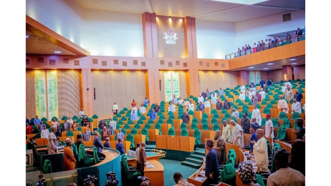 Rikici Ya Barke a Cikin Caucus ɗin ‘Yan Adawar Majalisar Wakilai