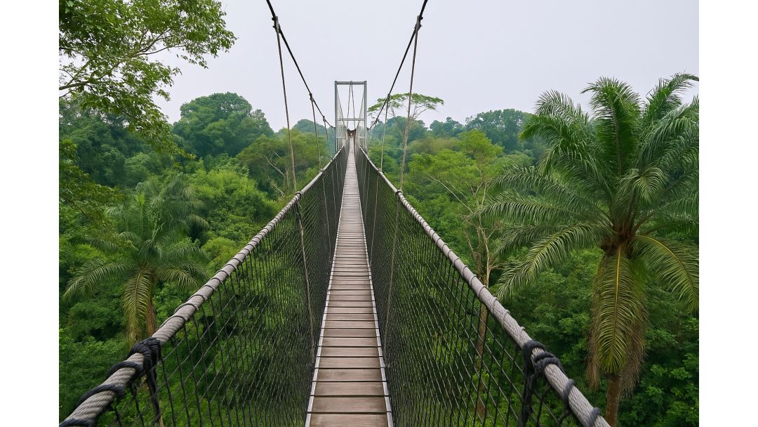 Featured image: Lekki Conservation Centre – Wurin Shakatawa a Lagos