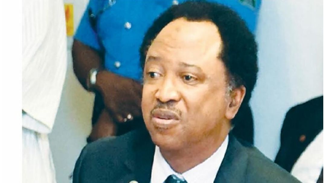 Shehu Sani jụrụ ihe Donald Trump kwuru gbasara ịkpọ agha megide Nigeria