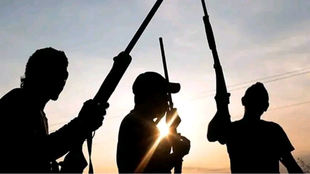 Two Robbers Killed, Others Arrested During Midnight Attack In Barnawa – Police