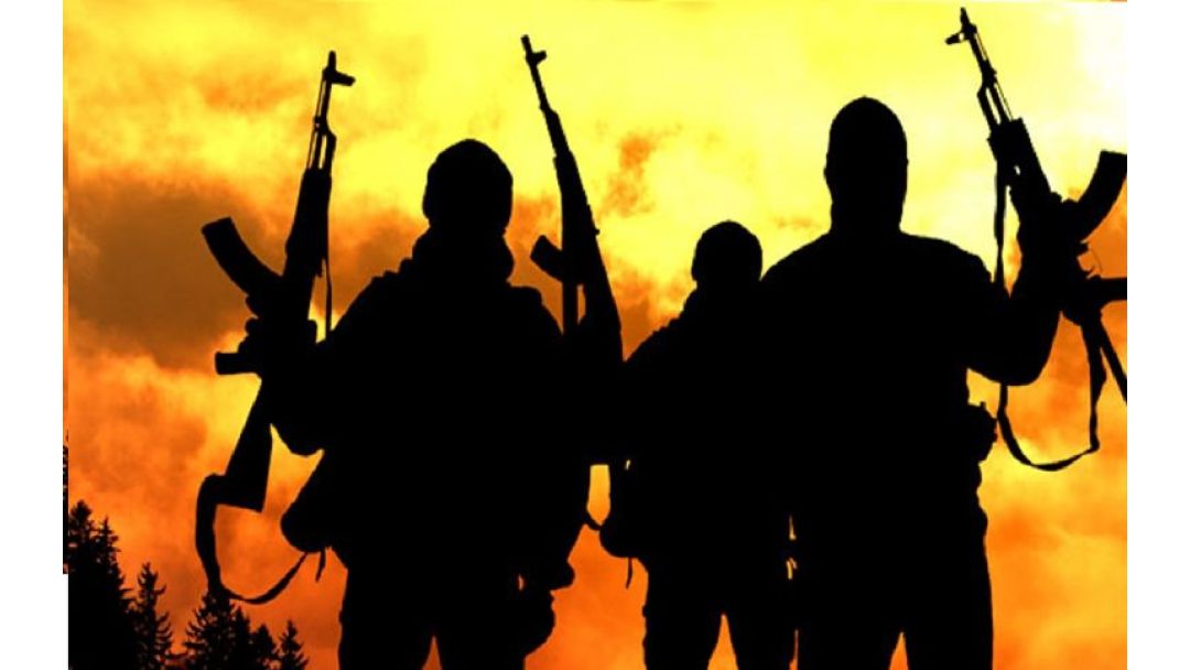 210 terrorists surrender to troops in Lake Chad region