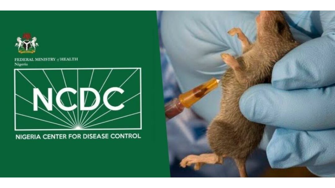 Fatalities rise six years after NCDC declared emergency on Lassa fever