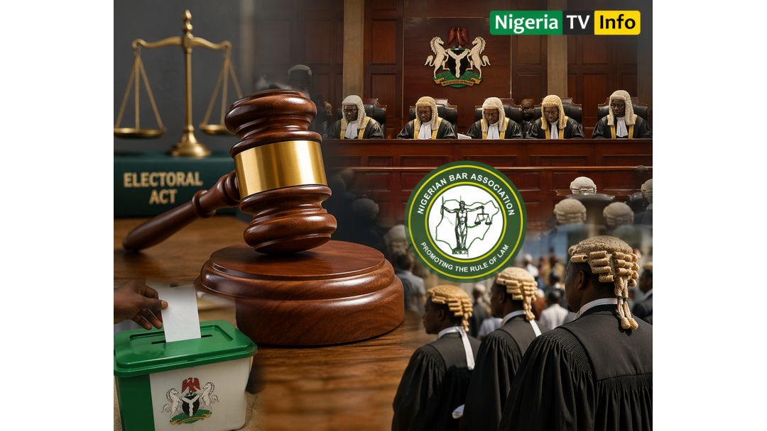 Electoral Act Breach: Retired Justice, SANs Knock Judges After NBA Outcry