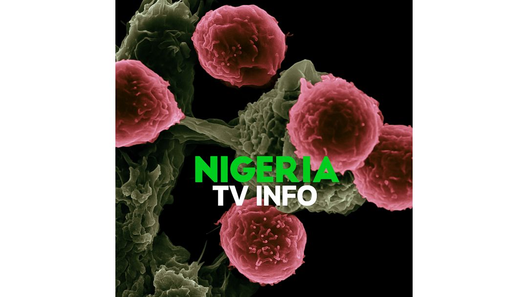 Featured image: NGO N bẹbẹ fun Imudara Itọju Palliative fun Awon Obinrin ti ń Jagun Àrùn Arun Dàji