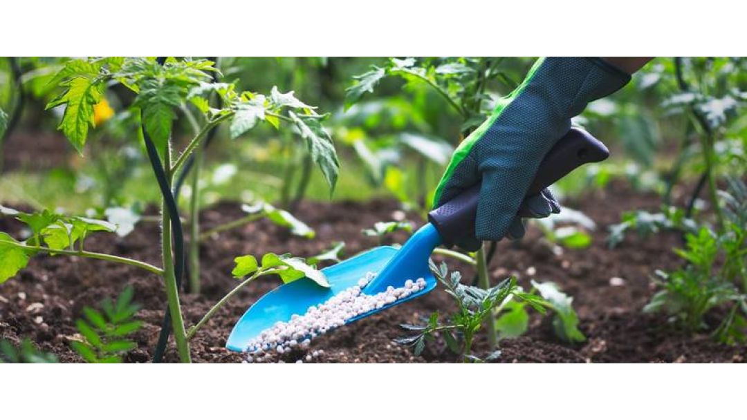 Featured image: Bauchi: Farmers Express Concern Over High Cost of Fertilisers