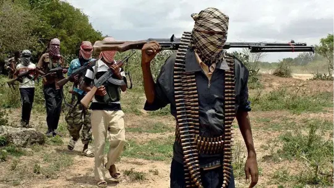 Mpaghara Ugwu Na-ata Ahụhụ N’okpuru Nsogbu Nchedo Ka Njọ — ACF