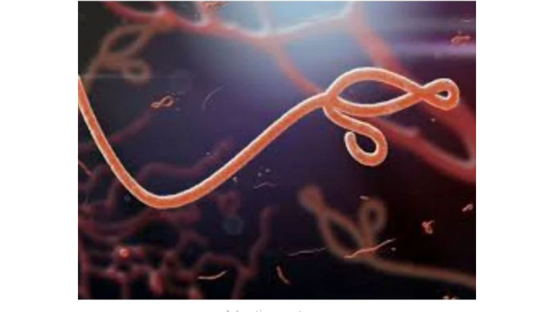 Featured image: Ụmụ mmadụ 15 nwụrụ mgbe Obodo Ndị Kongo kwupụtara mgbasa ọhụrụ ọrịa Ebola.